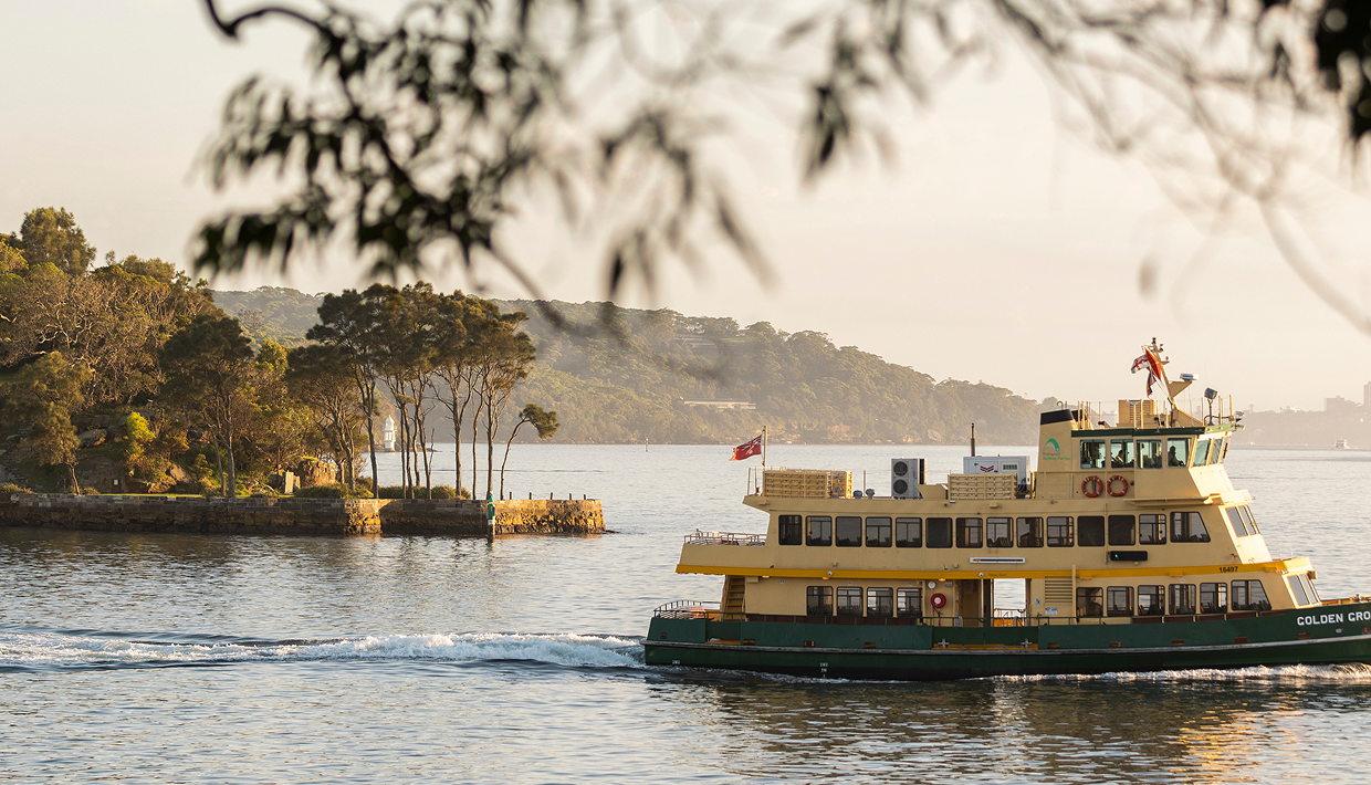 2024-01-02_TPA_Darling Point_1309.png